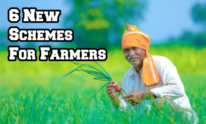 Budget 2025: Major Announcements for Farmers and Agriculture Sector